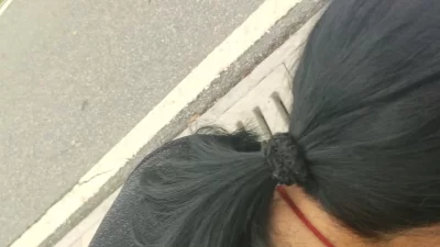 棕兔